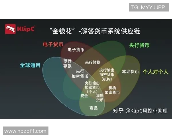 深圳乒乓球队运营分析：成功经验与面临挑战的深度探讨
